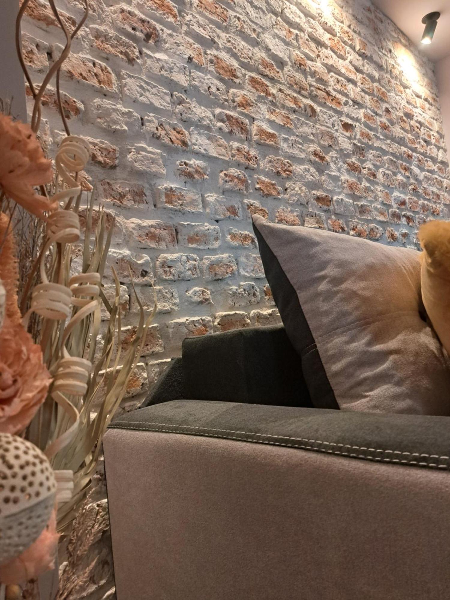 Casa Ileana Centrul Vechi Brasov Apartment Bagian luar foto