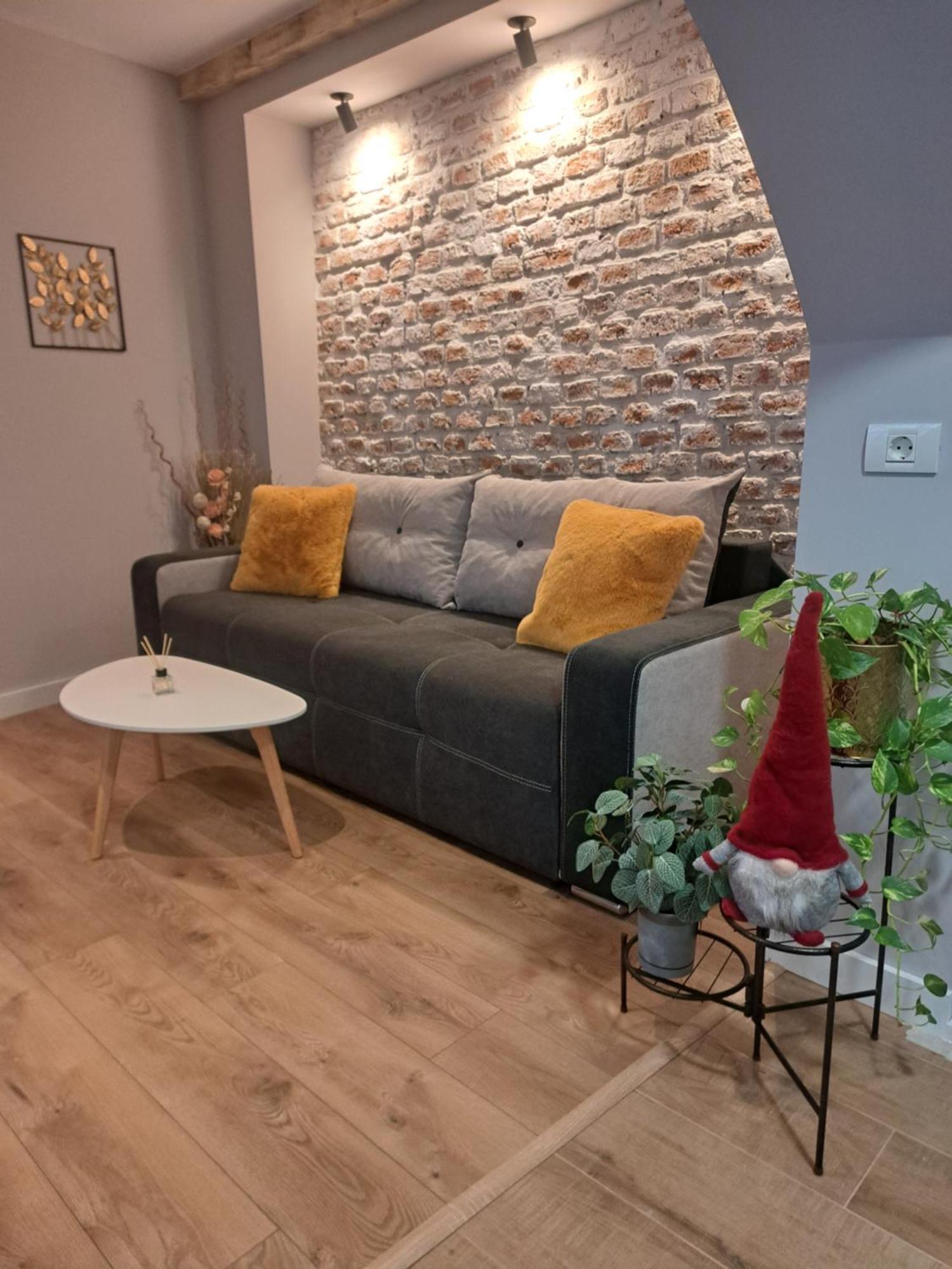 Casa Ileana Centrul Vechi Brasov Apartment Bagian luar foto