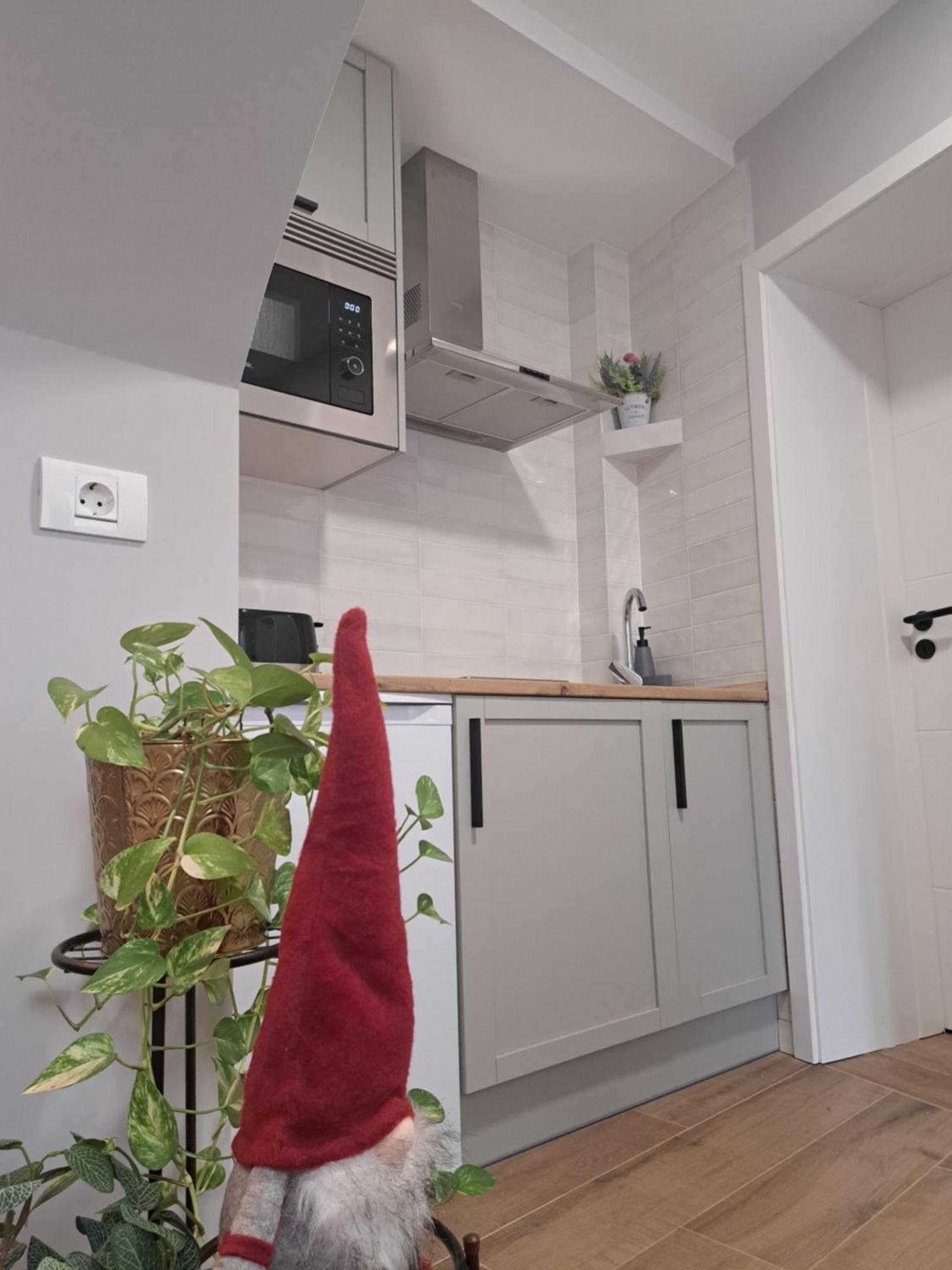Casa Ileana Centrul Vechi Brasov Apartment Bagian luar foto